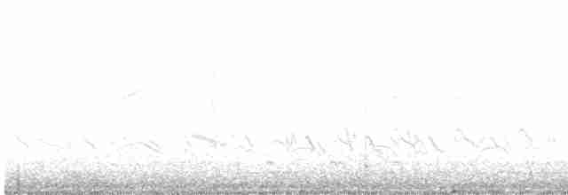 חרמשון קטן/חרמשון אמריקאי - ML471269441