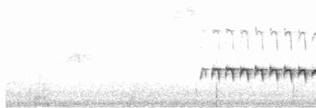 Rostrücken-Ameisenvogel - ML471283561
