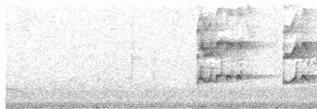 Тиранчик ріо-грандський - ML471284301