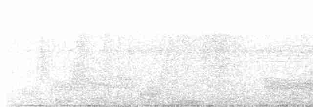 White-lored Spinetail - ML471300911