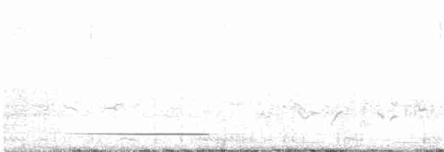 Сероголовый гладиатор - ML471343261
