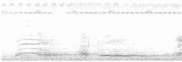 orel šedohlavý - ML47134901