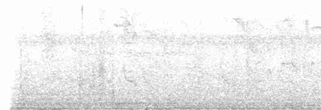Bar-crested Antshrike - ML471354821