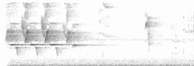 Каролинский крапивник - ML471426021