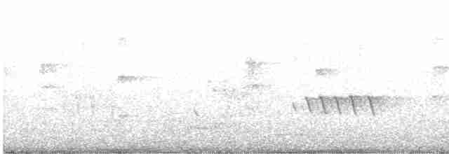 European Greenfinch - ML471433091