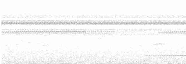 Grauérie striée - ML471484901