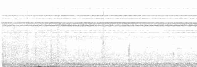 Рувензорская короткохвостка - ML471485011