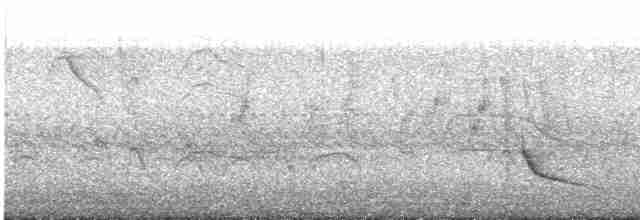 Graubrust-Olivtyrann - ML471513161