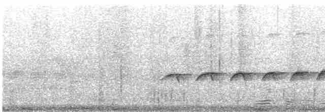 Band-tailed Antbird - ML471558551