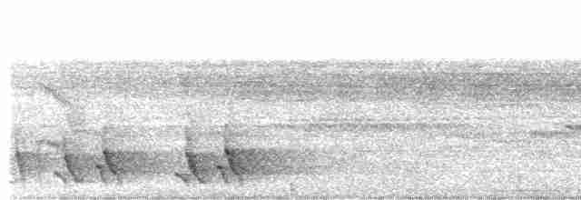 Südamazonien-Ameisenschnäpper - ML471589931