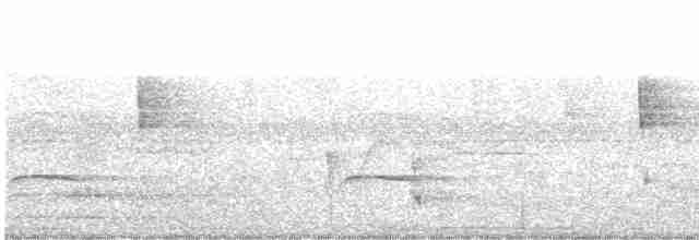 Рибалочка карликовий - ML471590391