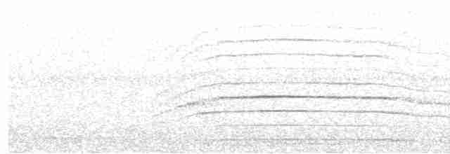 Белогорлый мечник - ML471602271