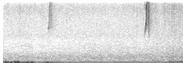 Синегорлая ореада - ML471606401