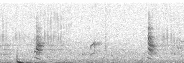 Гигантский зимородок - ML47161