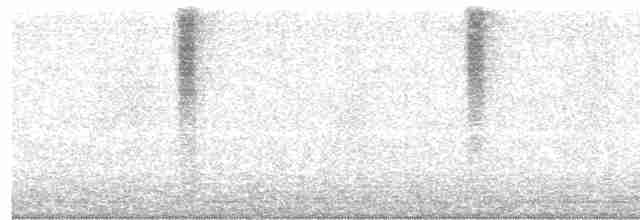 Колібрі-довгохвіст смарагдовий - ML471618111