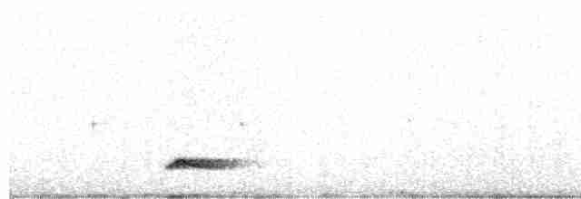 Tinamou à capuchon - ML471622121