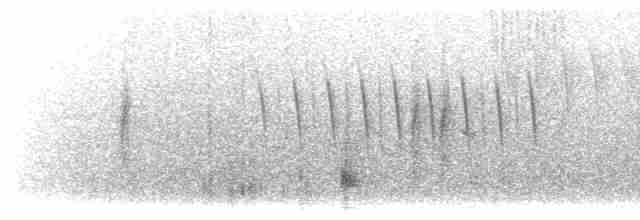 střízlík bažinný [skupina palustris] - ML471662481