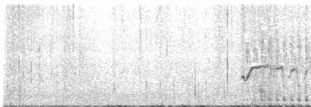 Tinamou perdrix - ML471662831