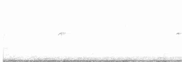 Colibri géant - ML471675701