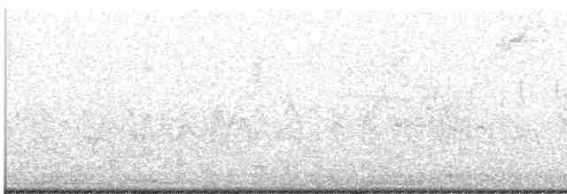Grèbe à face blanche - ML471706251