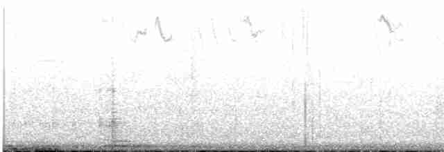 Kısa Kuyruklu Ormanyıldızı - ML471712371
