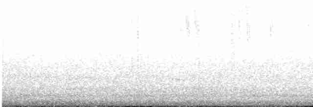 Kısa Kuyruklu Ormanyıldızı - ML471712381