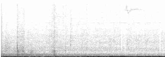 Kısa Kuyruklu Ormanyıldızı - ML471712421