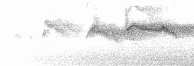 rorýs šedohnědý - ML471730811
