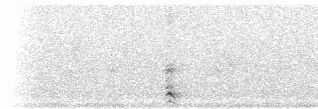 Морской голубок - ML471734161