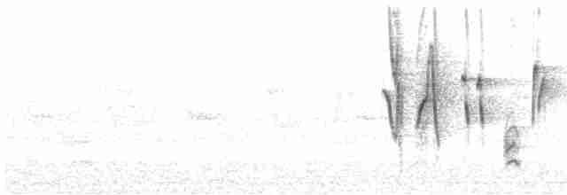 Кропив’янка чорноголова - ML471743301