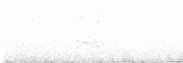 Élénie obscure - ML471744511