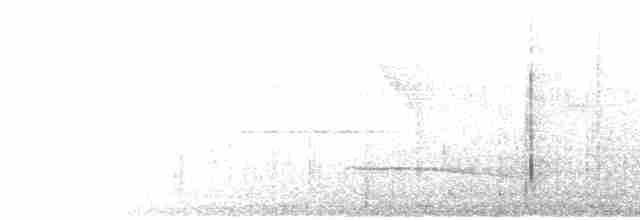 Лінивка-смугохвіст білогорла - ML471753091