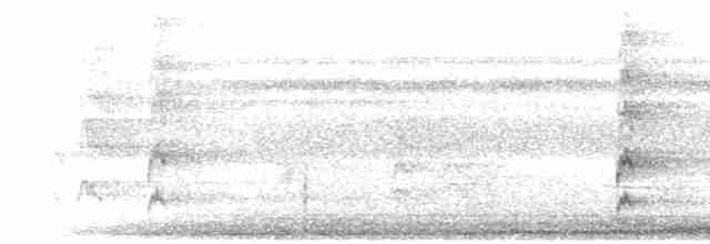 brunhetteparakitt (amazonum) - ML471753111