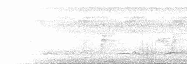 White-throated Toucan - ML471757081