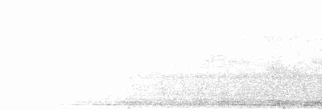 Natterer Gri Karıncaavcısı - ML471765871