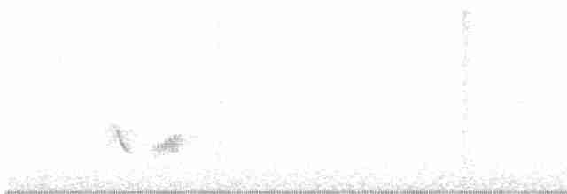 Піранга жовтогуза - ML471802351