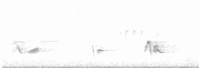 Піранга жовтогуза - ML471802361