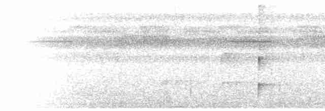 Шлемоносная чубатка - ML471837561