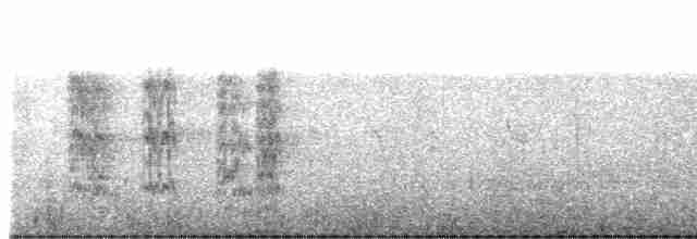 オウム目（インコ科 小さな種） - ML471907061