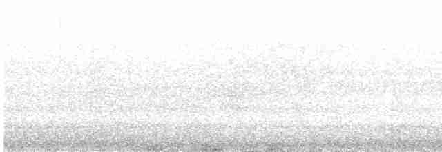 Гаїчка-пухляк звичайна - ML471910161