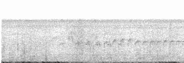 Серогрудая иглохвостка - ML471919231
