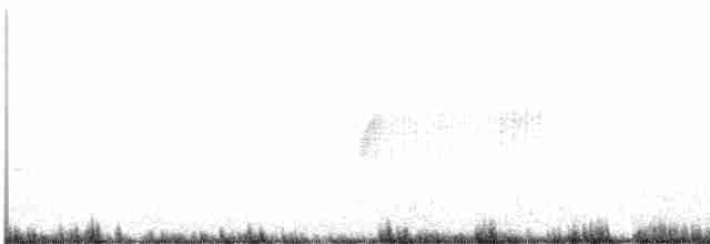 Тауї плямистий - ML471956101