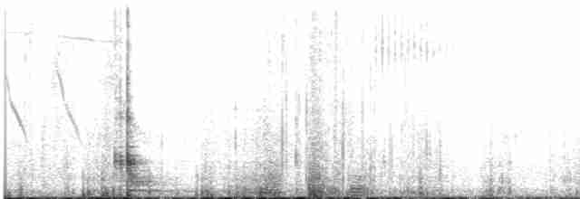 Kısa Kuyruklu Ormanyıldızı - ML471975471