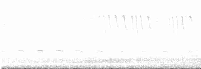 kalypta krátkoocasá - ML471976251