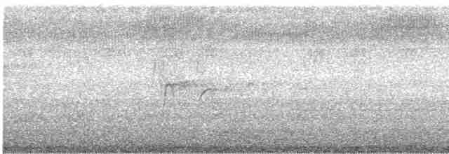 Cava Islıkçı Ördeği - ML471978961