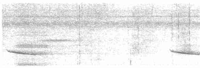 Ak Kulaklı Koca Vireo - ML47198231