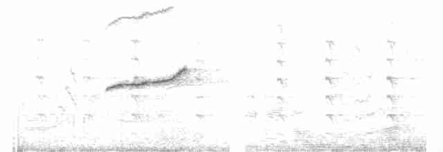 Oriental Magpie-Robin - ML472008601