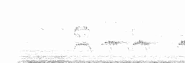 Wüstenregenpfeifer - ML472021961