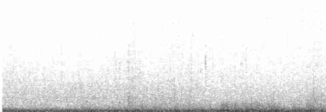 Підсоколик сірий - ML472224691