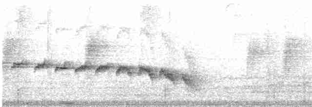 Kuzeyli Kestanerengi Karıncakuşu - ML472257961